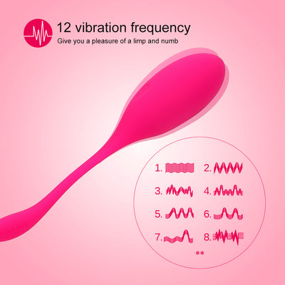OLO G-spot Vibrator Ben Wa Ball Kegel Exercise Vaginal Ball Vibrating Egg Remote Control Bullet Vibrators Sex Toys for Women